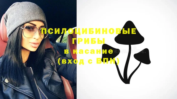 ешки Алзамай