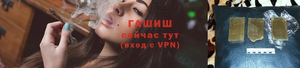 СК Алексин