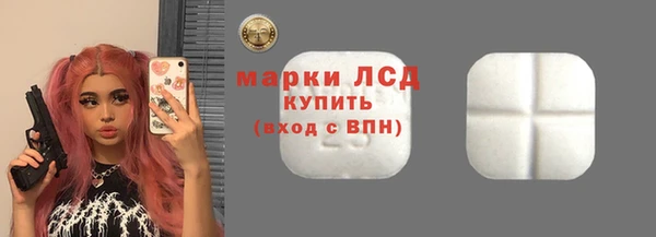 СК Алексин