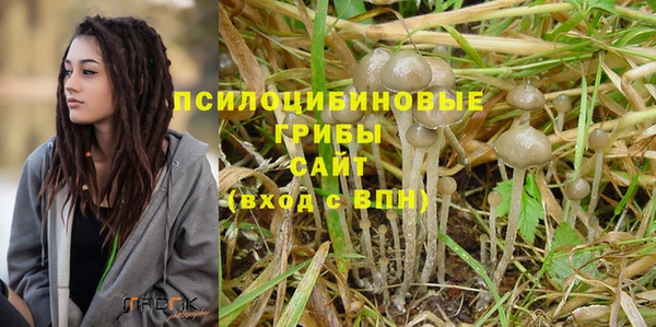 ешки Алзамай