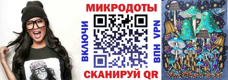 ОМГ ОМГ ссылки  Малаховка  Псилоцибиновые грибы Psilocybine cubensis 